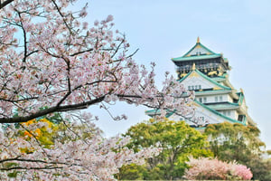 Osaka's castle